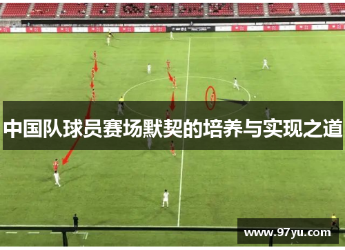 中国队球员赛场默契的培养与实现之道