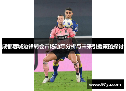 成都蓉城边锋转会市场动态分析与未来引援策略探讨